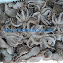 Frozen Cleaned Baby Octopus thumbnail-2