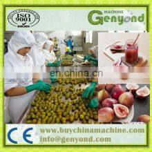 HIGH EFFICIENCY FIG PASTE PROCESSING MACHINE / FIG JAM MAKING MACHINE thumbnail-3