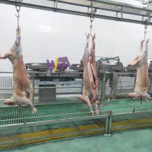 Goat Slaughter Machine Offal Synchronous Quarantine Conveyor For Sheep Slaughterhouse thumbnail-3