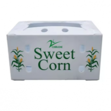 Reusable PP Hollow Packaging Box – Corrugated Plastic Crate for Fruit and Vegetable Transport thumbnail-2