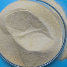 Xanthan GumCAS Number: 11138-66-2 thumbnail-1