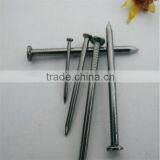 China Common Nails Factory Nail