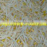 Frozen Bean Sprout thumbnail-1
