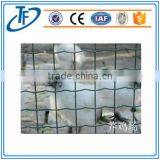 Holland Electric Welded Wire Mesh/best Quality/hot Sales thumbnail-2