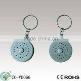Musical Keychain,sound Keychain,voice Box Keychain thumbnail-1