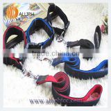 whosales manufacture Nylon Dog collar with dog leash