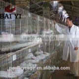 BAIYI Metal Rabbit Cage For Meat Rabbit / Breeding Rabbit / Female Rabbit thumbnail-6