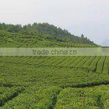 Hubei Shuangshi Tea Co., Ltd. company overview - view 1 thumbnail