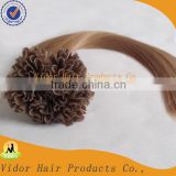 Factory Indian OEM Wholesale Nail/U Tip Hair Extension