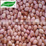 New Crop Peanut Kernel thumbnail-6