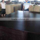 Black Film Faced Plywood / Brown Film Shuttering Plywood / Brown Film Marine Plywood Manufacturer thumbnail-1