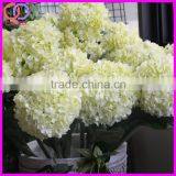 Real Touch Ivory Artificial Silk Hydrangea Flowers thumbnail-1
