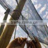 Anti Hail Net for Apple Tree thumbnail-3