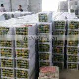 Fresh Mandarin Oranges in 2016 New Crop Sweet for Sale 9kg/box thumbnail-5