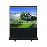 Small And Easy Carry Floor Up Screen