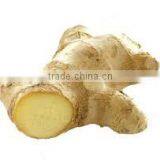 M D Exports company overview - view 3 thumbnail