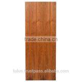 Best Flush Wooden Door Flat