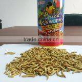 FDA grade Organic natural fish food mealworm