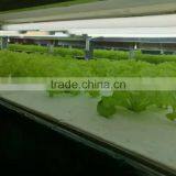 Tank Container Parts thumbnail-3