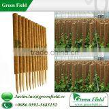 Coco Garden Stakes Green thumbnail-1