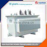 Oil Immersed Distribution Transformer for Real Estate Project