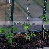 Galvanized Plant Stakes/tomato Spiral (factory) in China thumbnail-1
