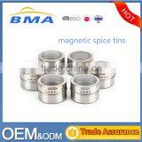 Stainless Steel Magnetic Spice Tins Set thumbnail-1