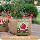 Green Field Round Jute Fabric Tomato Grow Bags thumbnail-1