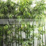 Home Garden Dry Decoration 250cm Height Artificial Outdoor Green Lucky Bamboo EZZ06 0203 thumbnail-5