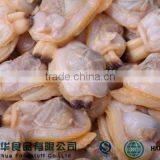 Seafood Importer Clam Meat Shellfish Seafood Frozen thumbnail-2