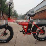 20inch With CE Certificate Foldable Fat Tire Brushless Hub Motor Electric Folding Bike thumbnail-2