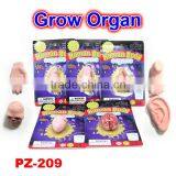 Magic Water Growing Human Organs thumbnail-2