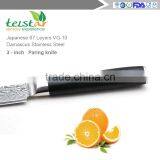 2017 New Technology 3.5 Inch Paring Knife Japanese VG10 Super Steel 67 Layer High Carbon Stainless Steel Razor Sharp thumbnail-3