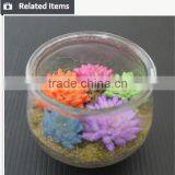 Tropical Mini Succulent Plants Bonsai for Sale Artificial Succulents thumbnail-6