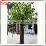 Made in China Wholesale Artificial Yellow Gingko Tree, Green Leaf Tree/plant thumbnail-5