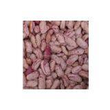 Light Speckeld Kidney Beans