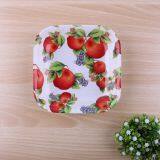 TX203 PLASTIC RECTANGULAR PLATE IML TRAY CHEAP SMALL SALAD BOWL thumbnail-3