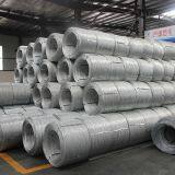 All Size Electro Galvanized Iron Wire thumbnail-4