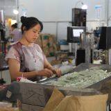 Lighter Machine, Lighter Assembly Machine, Lighter Assembly Equipment, Lighter Automation Equipment, Lighter Manufacturing Machine thumbnail-5