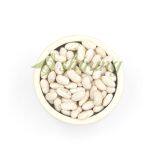 Wholesale Long Type Spanish White Beans Price thumbnail-2