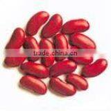 Organic Red Kidney Bean thumbnail-1
