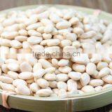 dry white kidney beans