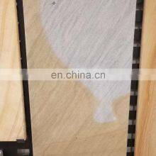 Top Surface Honed Double Color Sandstone thumbnail-2