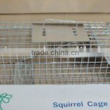 squirrel trap cage