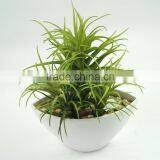 High Quality Artificial Plant Green Plant Succulent Plant thumbnail-2