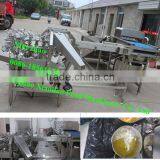 Egg Breaking Machine, Automatic Egg White and Yolk Seperate Machine,seperator Egg White and Yellow