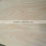 PLYWOOD BB / CC thumbnail-1