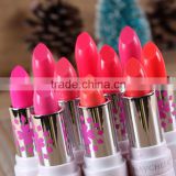 Wholesale MAYCHEER High Quality Cosmetics B Makeup 12 Colors Vampures kiss Lipstick Matte