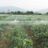 High Tensile Plastic BOP Netting for Anti Bird and Plant Support &deer Fence thumbnail-6