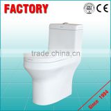 Siphonic flushing Flushing Method and S-Trap Drainage Pattern automatic self-clean toilet seat